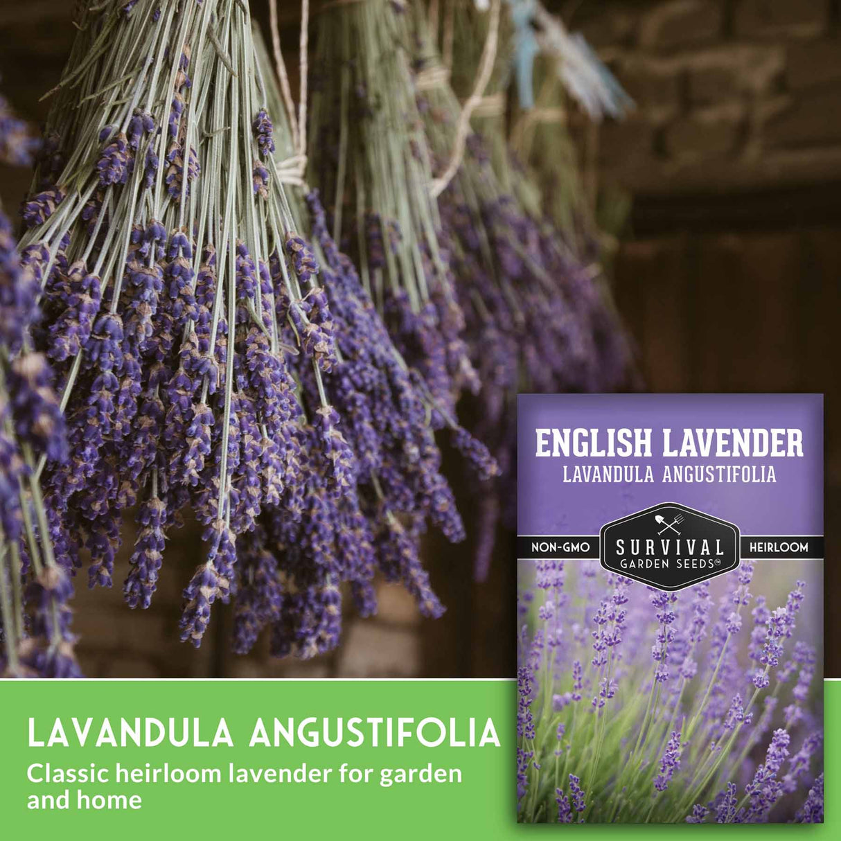 Hanging lavender stems with seed packet