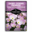 One packet of Showy Evening Primrose (Oenothera Speciosa) seeds