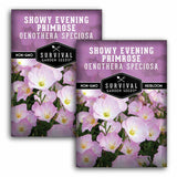2 packets of Showy Evening Primrose (Oenothera Speciosa) seeds