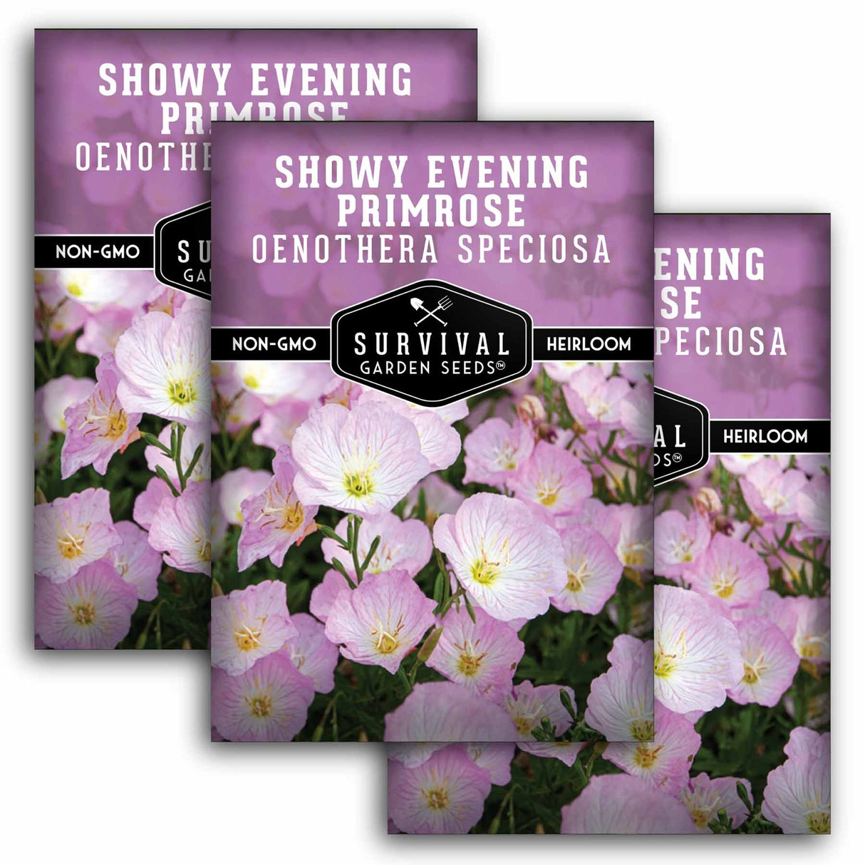 3 packets of Showy Evening Primrose (Oenothera Speciosa) seeds
