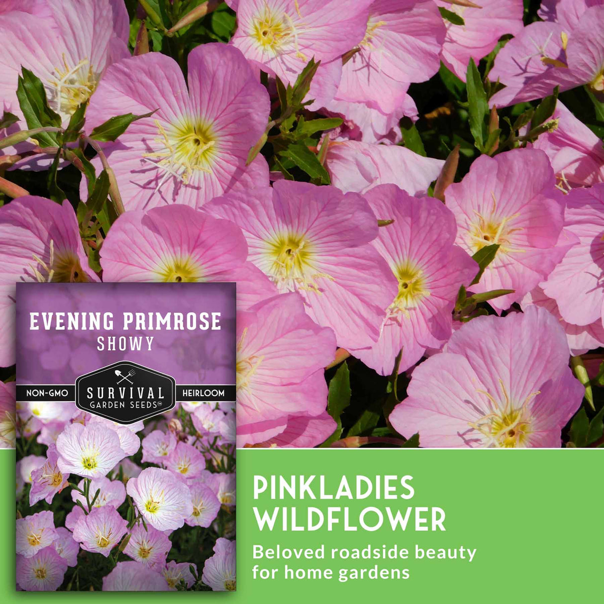 Pink evening primrose flowers with a seed packet labeled 'Survival Garden Seeds' on a green background.