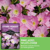 Pink evening primrose flowers with a seed packet labeled 'Survival Garden Seeds' on a green background.