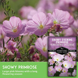 Pink blooms with seed packet