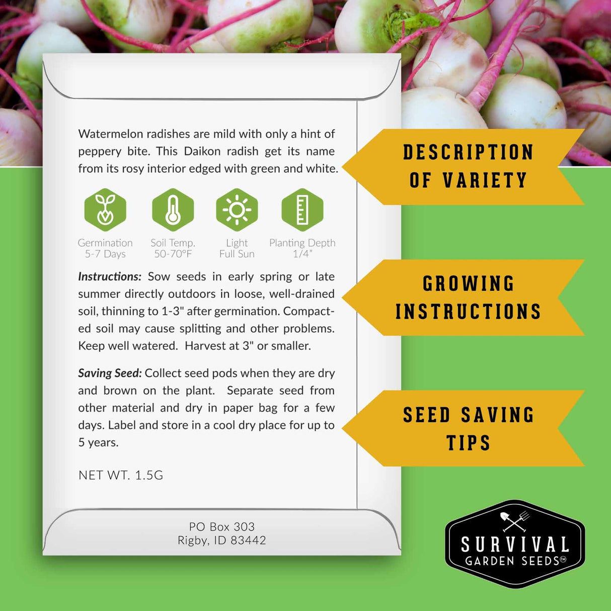 Seed packet for Daikon radish with growing instructions and seed saving tips on a green background.