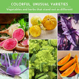 Collage of colorful vegetables and herbs with text 'Colorful, unusual varieties'.