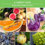 A 6-variety pack collage of exotic and rare seeds for growing, featuring watermelon radishes with bright pink flesh, orange melon slices, purple kohlrabi, black-leaf basil, a striped squash, and green Romanesco broccoli, under a green header that reads '6 VARIETY PACK Exotic Rare Seeds to Grow'.