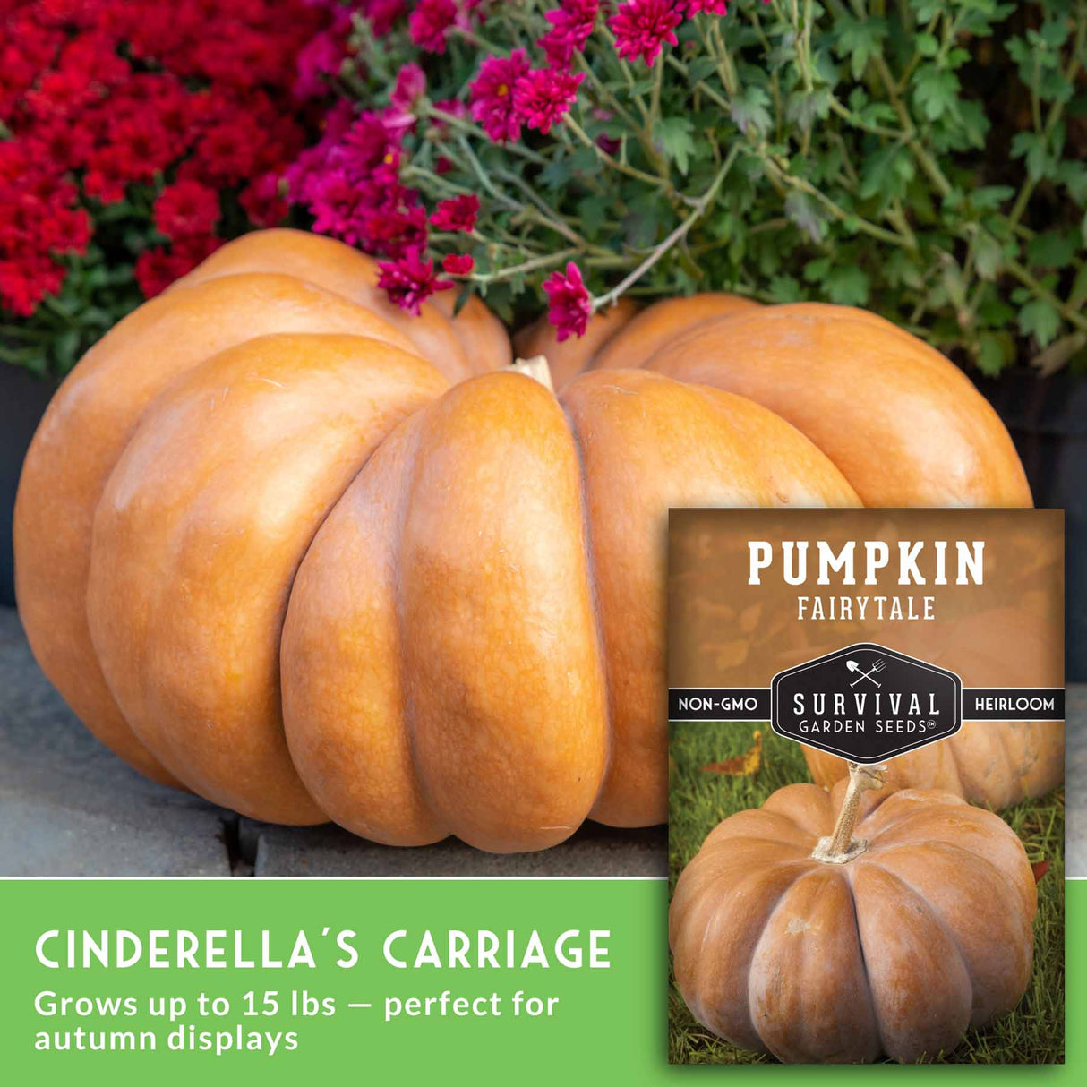 Pumpkin with 'Survival Garden Seeds' packaging and text about pumpkin variety and benefits.