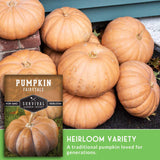 Pile of pumpkins with 'Pumpkin Fairytale' seed packet and text about heirloom variety.