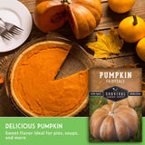 Pumpkin pie with a slice missing, surrounded by pumpkins and a package of Survival Garden Seeds pumpkin seeds on a wooden table.