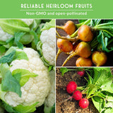 Collage of cauliflower, radishes, and other vegetables with text about reliable heirloom fruits.