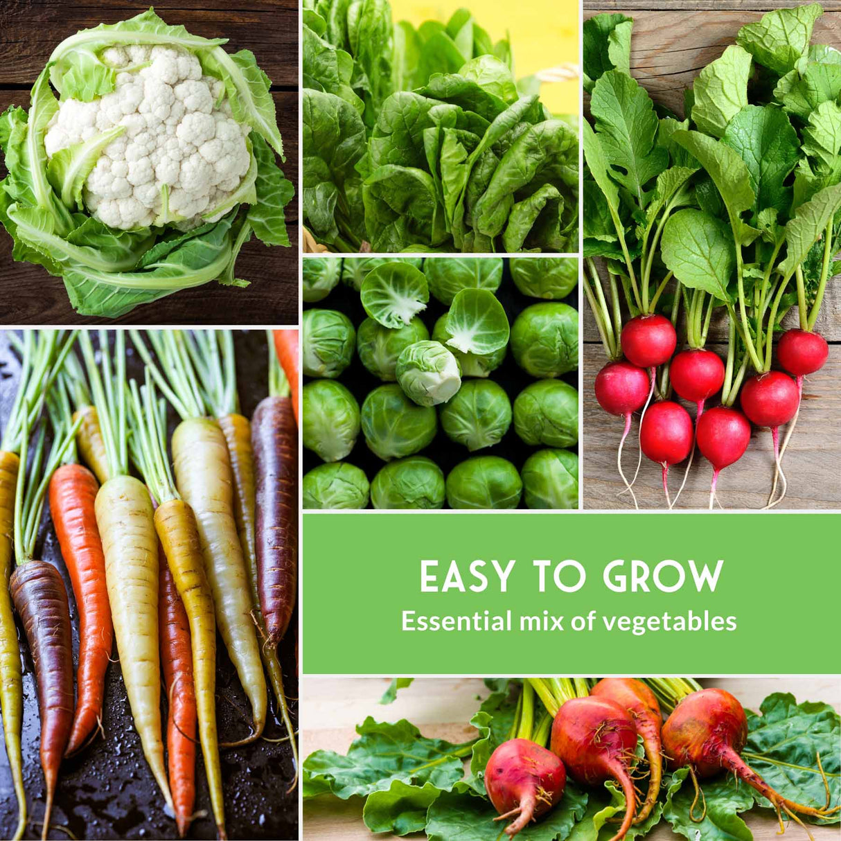 Collage of various vegetables with a green label 'Easy to Grow Essential mix of vegetables'.