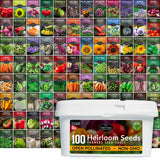 Collection of seed packets with a container labeled '100 Heirloom Seeds' on a white background.