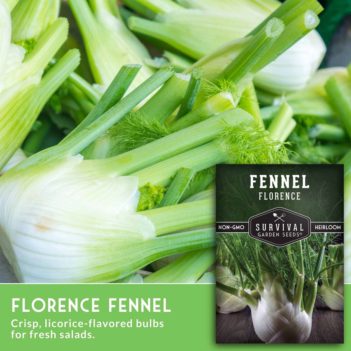 Fennel bulbs with a seed packet labeled 'Florence Fennel' from Survival Garden Seeds.