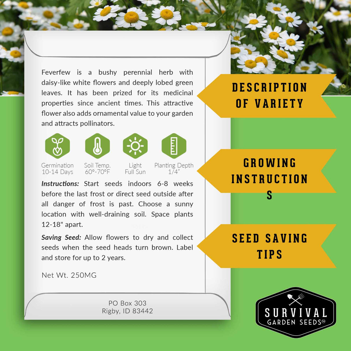 Feverfew seed packet with growing instructions and seed saving information