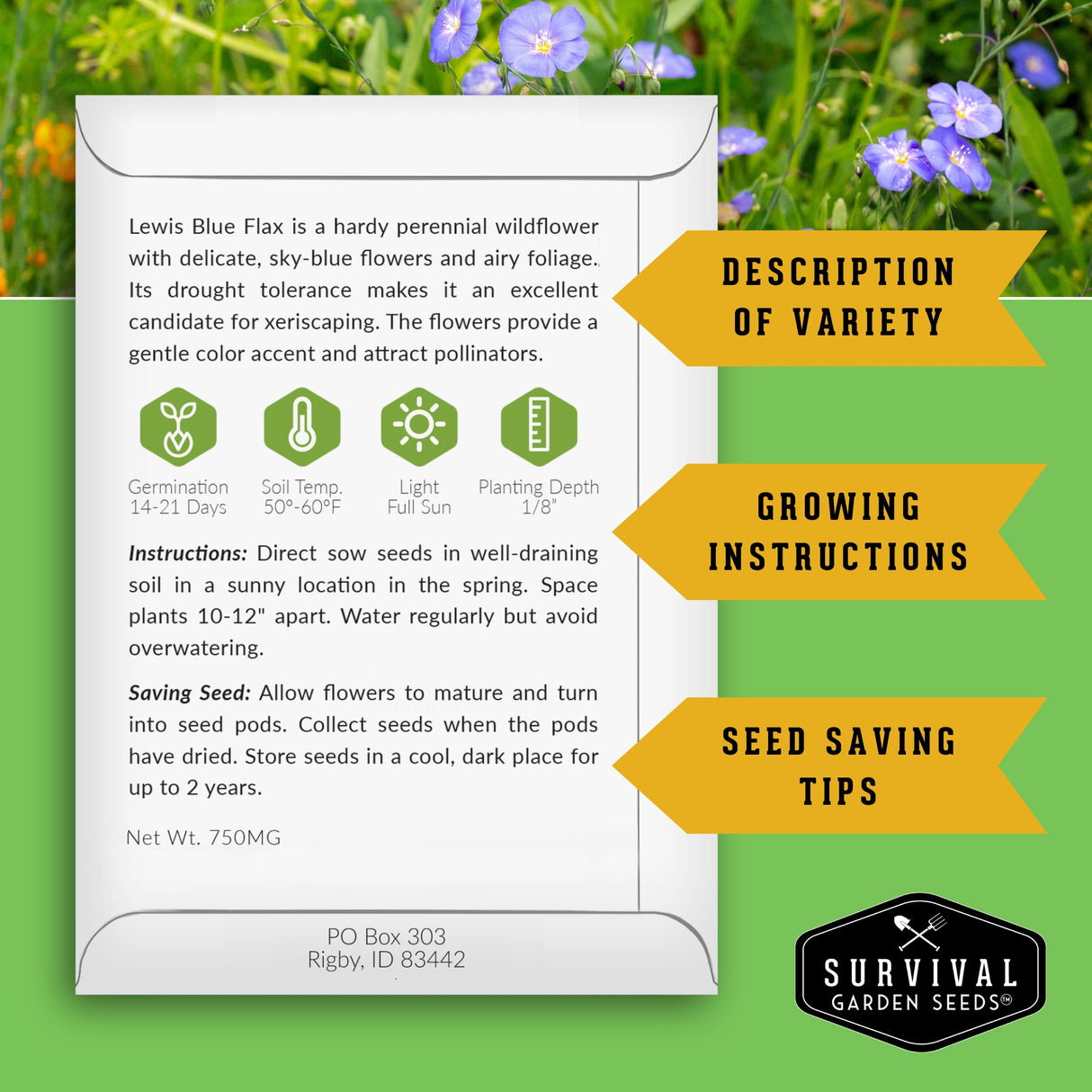 Seed packet for Lewis Blue Flax with growing instructions and seed saving tips on a green background.