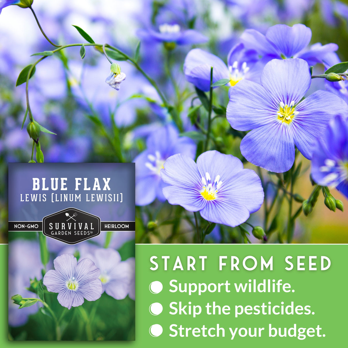 Blue flax flowers with a seed packet labeled 'Survival Garden Seeds' in the foreground.