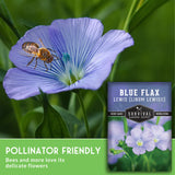 Blue flax flower with a bee and Survival Garden Seeds blue flax seed packet.