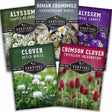 5 Packets of Flowering Ground Cover seeds