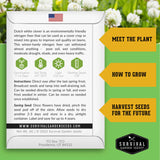 Survival Garden Seeds packaging with information on Dutch white clover seeds against a green background with flowers.