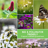Collage of bees, butterflies, and flowers with a green label indicating 'Bee & Pollinator Friendly'.