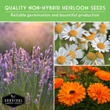 Promotional image for Survival Garden Seeds featuring images of lavender, daisies, and calendula with text about non-hybrid heirloom seeds.