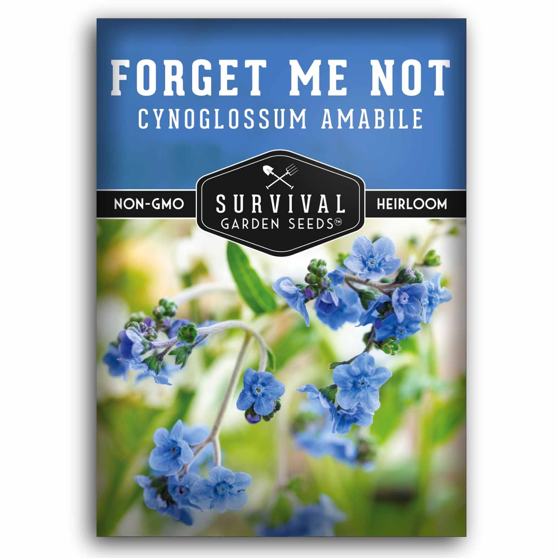 Forget-Me-Not – Blue Flower Seeds – SurvivalGardenSeeds