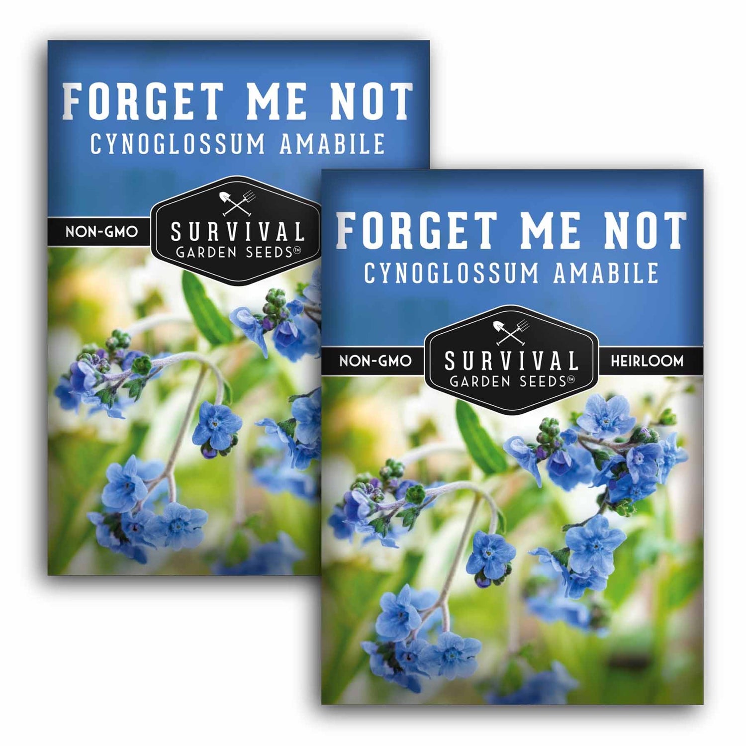 planting forget me not seeds indoors Forget-Me-Not Seeds – Blue Annual Flowers for Pollinators, Borders & Cut Gardens
