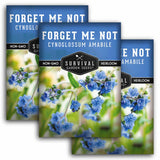 Three packages of Survival Garden Seeds Forget Me Not seeds with blue flowers on a white background.