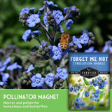 Blue flowers with a bee and a seed packet labeled 'Forget Me Not' on a green background.