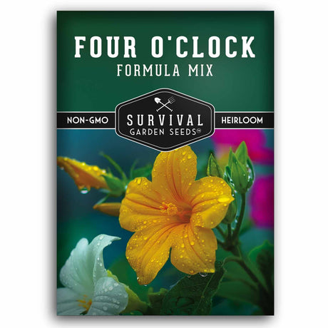 Survival Garden Seeds Four O'Clock Formula Mix packaging with a yellow flower on a dark green background.