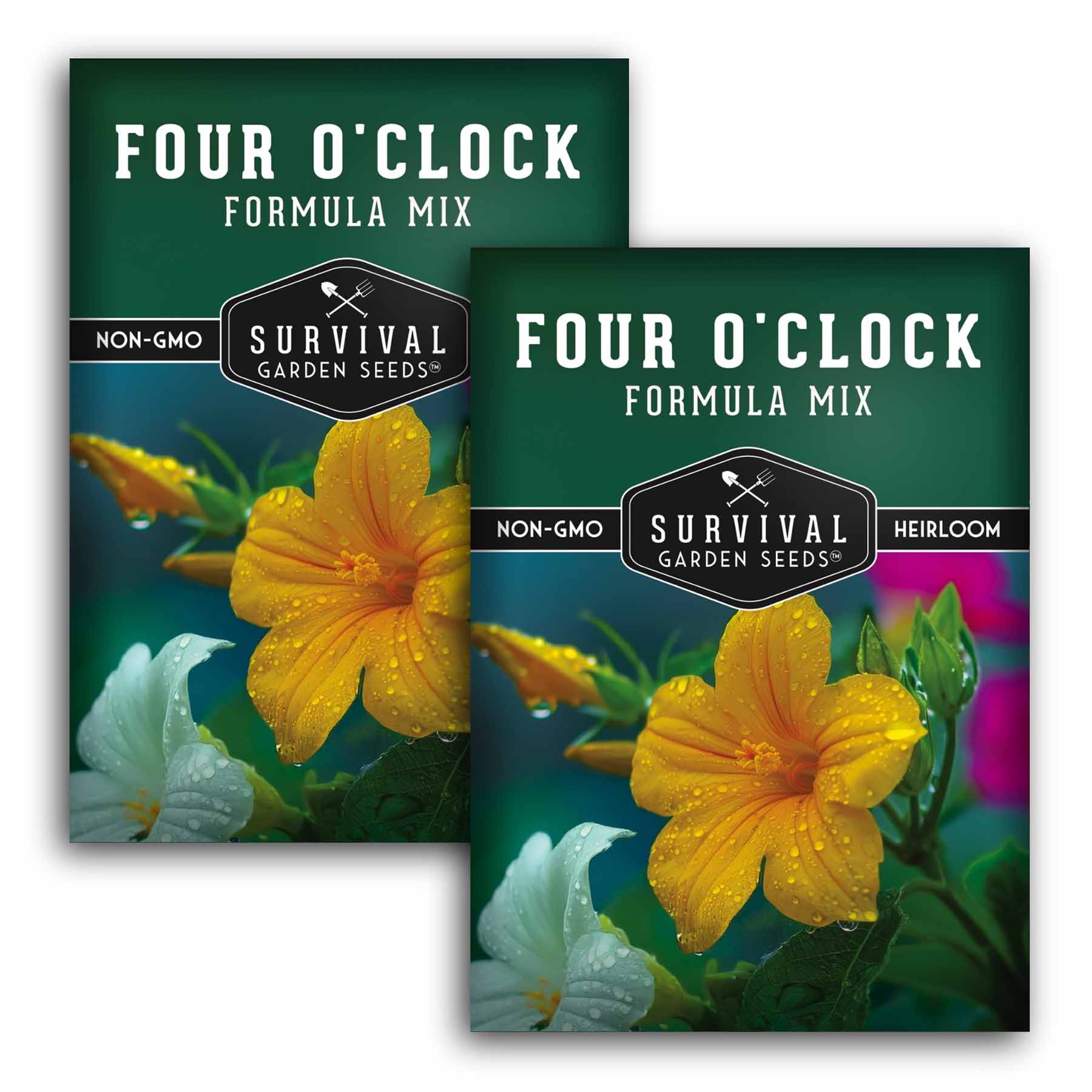Four O'Clock Formula Mix – Flower Seeds – SurvivalGardenSeeds