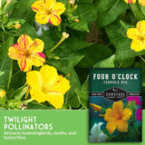 Four O'Clock seeds package with yellow flowers and green leaves