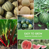 easy to grow beginner-friendly fruits