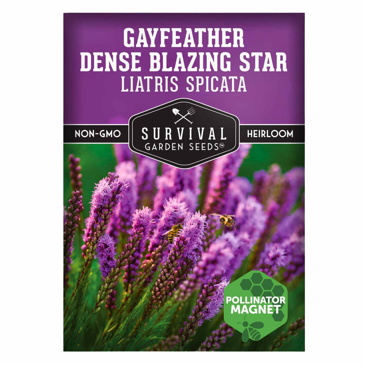 1 Packet of Gayfeather Dense Blazing Star seeds