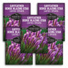 5 Packets of Gayfeather Dense Blazing Star seeds