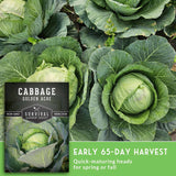 Seed packet for Survival Garden Seeds Cabbage Golden Acre shown over a close-up cabbage field, with text reading 'Early 65-Day Harvest' and 'Quick-maturing heads for spring or fall.'.