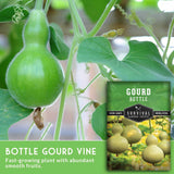 Bottle gourd vine with a seed packet labeled 'Gourd Bottle' on a green background.