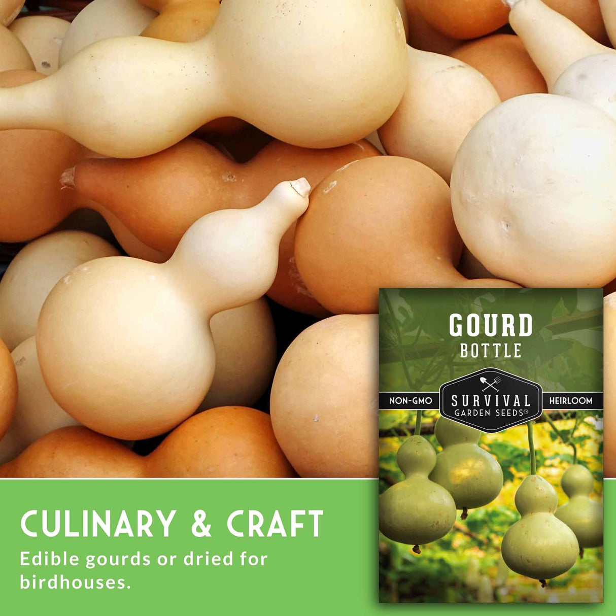 Gourds with a seed packet labeled 'Gourd Bottle' on a green background