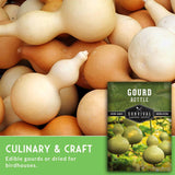 Gourds with a seed packet labeled 'Gourd Bottle' on a green background
