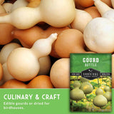 Gourds with a seed packet labeled 'Gourd Bottle' on a green background