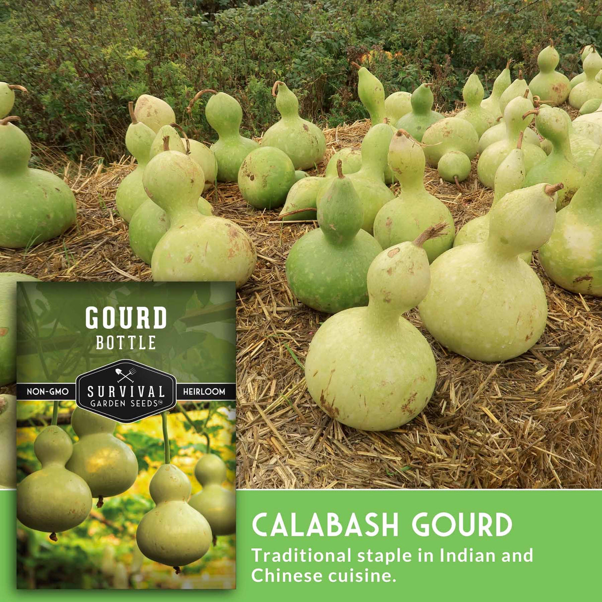 Calabash gourds on straw with a seed packet labeled 'Gourd Bottle' in the corner.