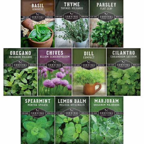 Collection of herb seed packets with images and names on a white background