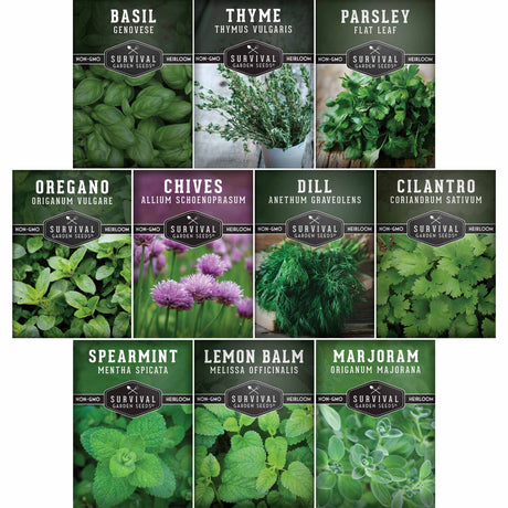 Collection of herb seed packets with images and names on a white background