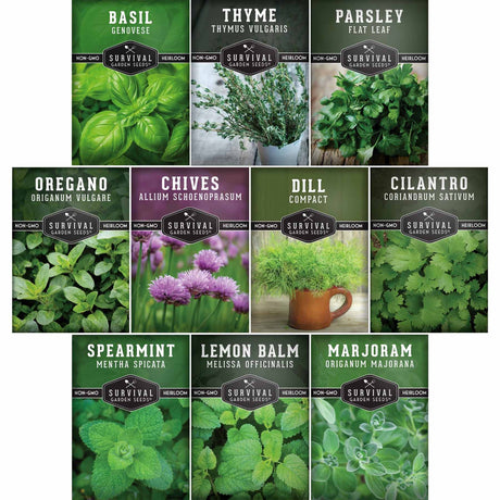 A collage of 10 herb seed packet covers arranged in a grid. The packets show different herb varieties including Basil, Thyme, Parsley, Oregano, Chives, Dill, Cilantro, Spearmint, Lemon Balm, and Marjoram, each with a green, purple, or white header and a photo of the fresh herb leaves.