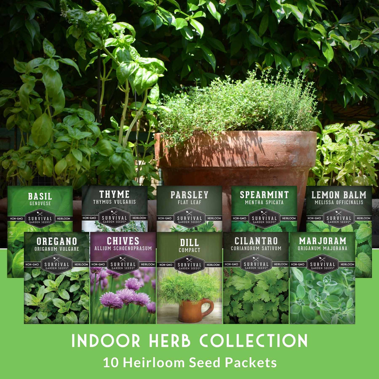 A promotional display for the Survival Indoor Herb Collection, showing ten different heirloom seed packets arranged in two rows in front of a large terracotta planter filled with fresh herbs, with a green banner at the bottom reading 'INDOOR HERB COLLECTION 10 Heirloom Seed Packets'.