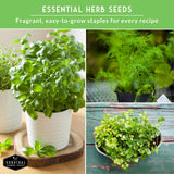 Collage of potted herbs with text about essential herb seeds.