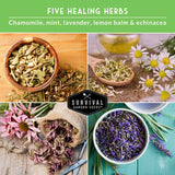 Collage of five healing herbs with text overlay on a green background