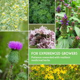 Herbalist Bundle – 7-Varieties of Heirloom Perennial & Biennial Healing Plants for Advanced Apothecary Gardens