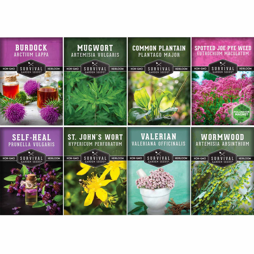 Collection of Survival Garden Seeds packages with various herbs and plants on a white background