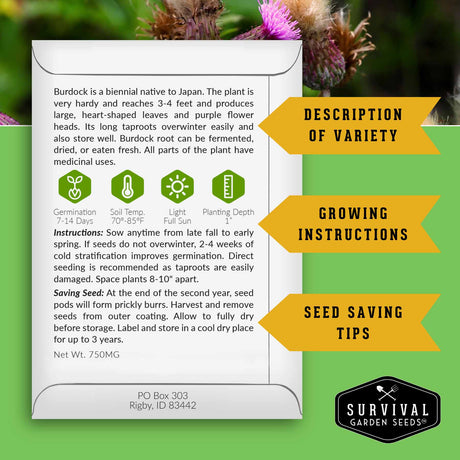 Seed packet with Burdock information on a green background